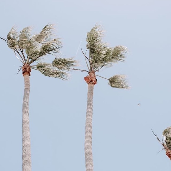 Meet your Posher, Marissa - Picture 1 of 1